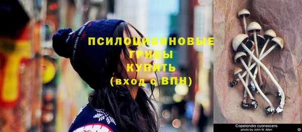 бошки Балахна