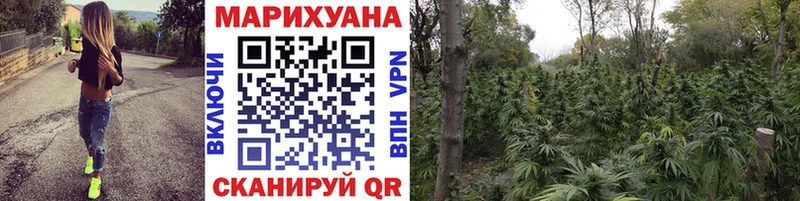 Каннабис MAZAR  Болотное 
